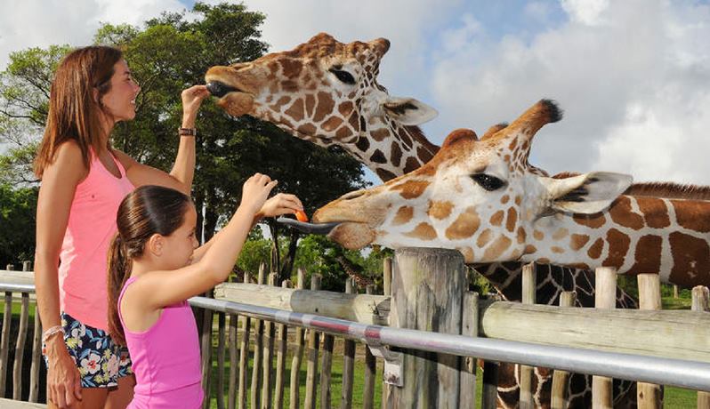 Zoo Miami - Image 3
